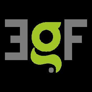 EGF - Eurografica Stampa e Comunicazione