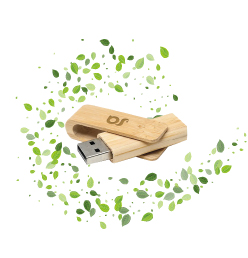 CHIAVETTA USB ECOLOGICA IN LEGNO