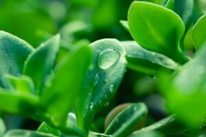 GADGETS ECOLOGICI E SOSTENIBILI